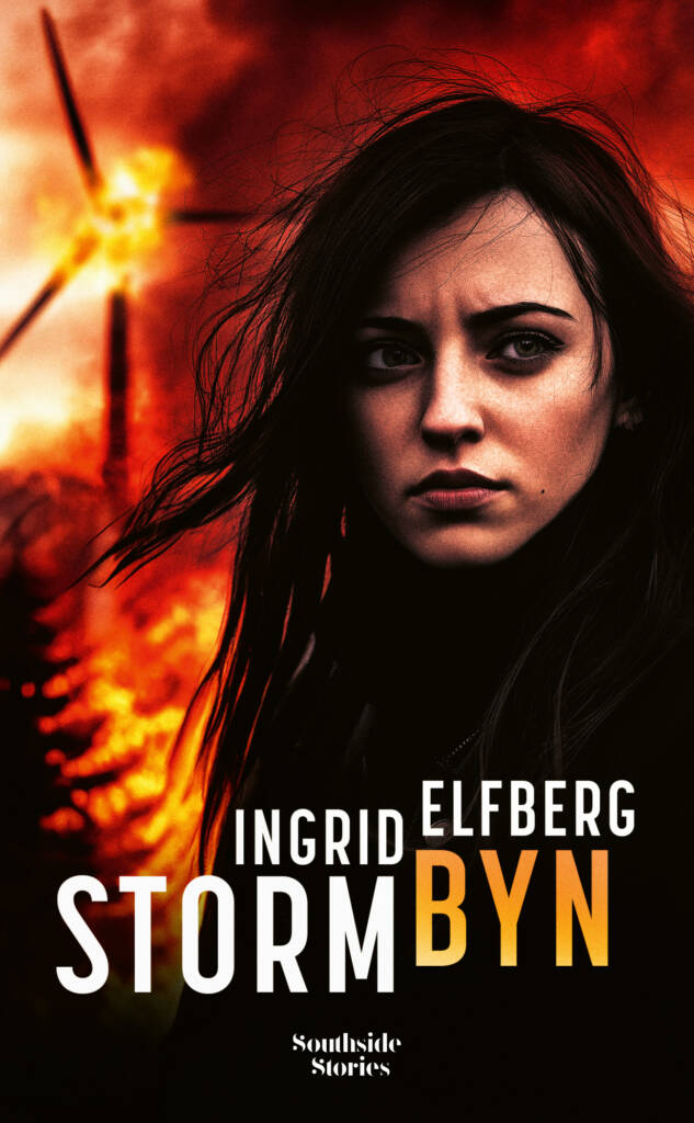 Omslag: Stormbyn